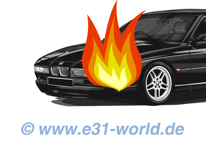 BMW E31, E32, E38 V12 Motorprobleme lösen am M70 M73 S70